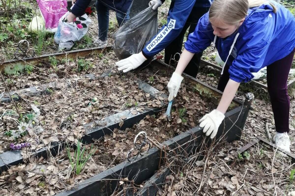 Молодогвардейцы и волонтеры Победы помогают ветеранам, обратившимся за  помощью