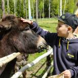 В Московской области единороссы организовали экскурсию в зоопарк для детей из семей беженцев