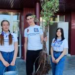 В Волгоградской области партийцы приняли участие в Международной акции «Сад памяти»