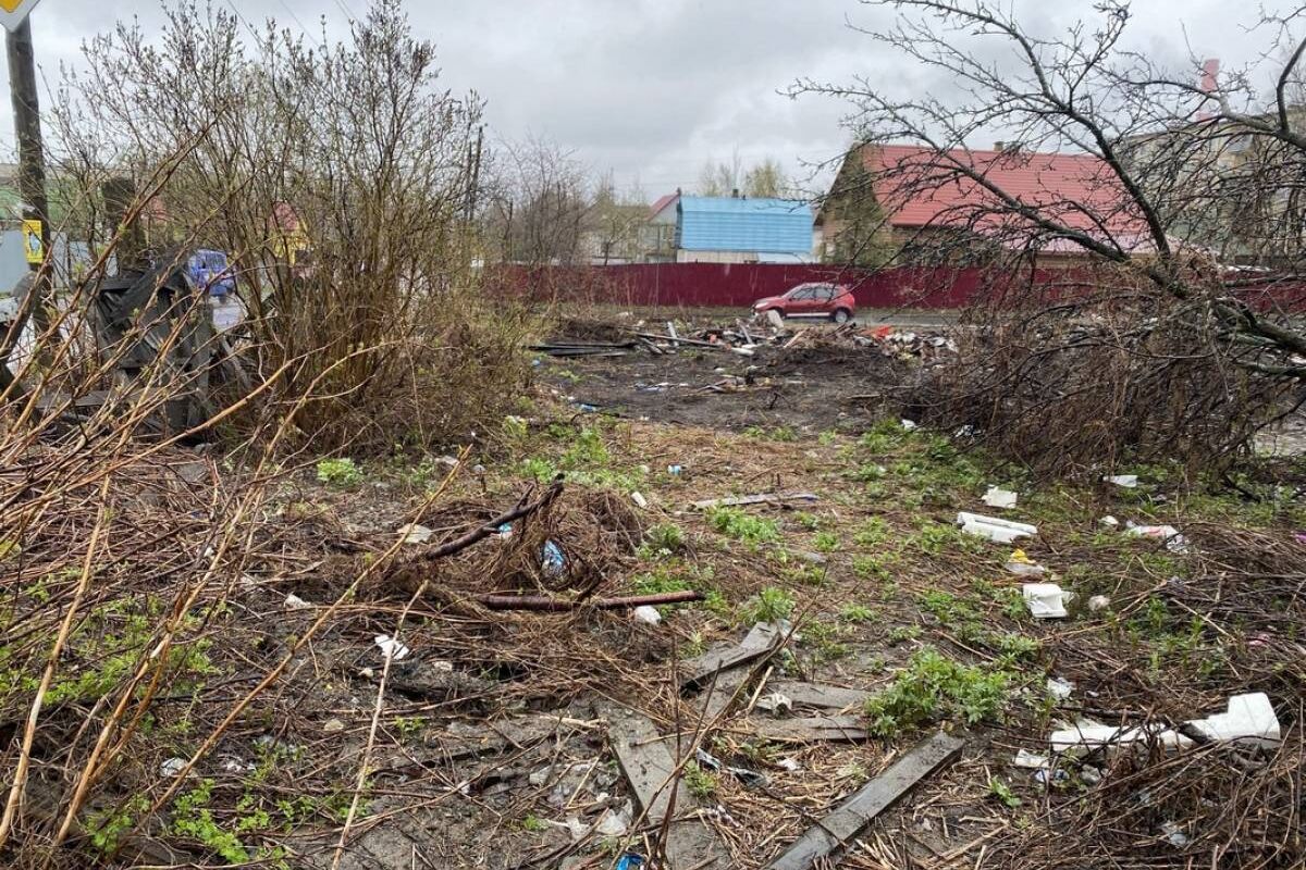 Петрозаводские депутаты взяли на контроль ситуацию с уборкой несанкционированных свалок.