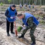 Девять тысяч саженцев сосны высадили в рамках акции «Сад памяти» в Воротынском районе