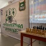 В Зауралье определили победителей конкурса учителей шахмат общеобразовательных школ