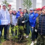 Сторонники «Единой России» высадили более 100 тысяч деревьев в память о погибших Героях