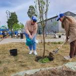 «Сад памяти»: Муравленковцы высадили более 80 деревьев