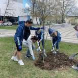 Парки, мемориалы, территории школ: «Единая Россия» проводит 1 мая субботники в регионах