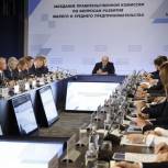 Антон Алиханов представил Михаилу Мишустину предложения развития малого и среднего предпринимательства до 2030 года