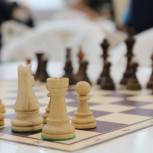 В Челябинской области завершился турнир по шахматам