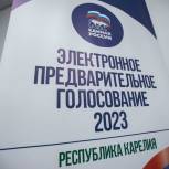 В Карелии 26 мая стартует предварительное голосование «Единой России».