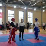 Фестиваль кикбоксинга для юных спортсменов состоялся в Пушкине при поддержке «Единой России»