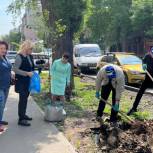 Активисты партии приняли участие в озеленении улиц Саратова