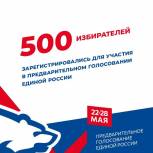 В Ингушетии на предварительное голосование «Единой России» зарегистрировалось около 500 избирателей