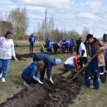 Активисты «Единой России» высадили «Сад памяти» в Барабинском районе