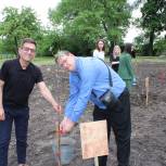 Курские единороссы приняли участие в высадке деревьев в рамках акции «Сад Памяти»