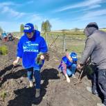 Активисты «Единой России» высадили 200 деревьев в Чистоозерном районе