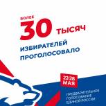 По результатам первого дня предварительного голосования свой выбор сделали более 30 тысяч жителей Ивановской области