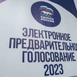 В ЕАО стартовало предварительное голосование партии «Единая Россия»