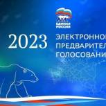 В ЕАО продолжается предварительное голосование партии «Единая Россия»