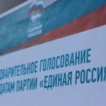 Предварительное голосование «Единой России» проходит до 28 мая