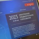 В Волгоградской области за кандидатов ПГ-2023 голосуют волонтеры, педагоги и представители общественных организаций