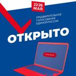 Процедура предварительного голосования «Единой России» официально открыта