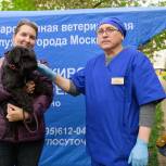 Более 120 пунктов бесплатной вакцинации на площадках для выгула собак будет работать этим летом в Москве
