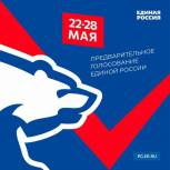 С 22 по 28 мая пройдет электронное предварительное голосование «Единой России»