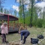 «Серебряные волонтеры» посадили хвойные саженцы в Национальном парке Республики Тыва