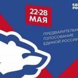 В Ульяновской области идет последний день предварительного голосования «Единой России»