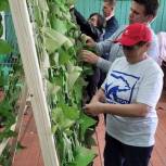 Алтайские единороссы помогают плести маскировочные сети для участников СВО