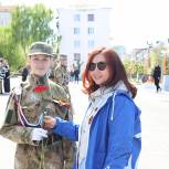 Алые гвоздики для жителей Чебоксар