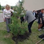 Сергей Рыбалкин принял участие в акции «Сад памяти»