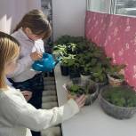 Курс на агробизнес: ученики Теченской школы выращивают урожай для приготовления школьных обедов