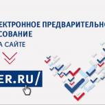 Новгородцы активно участвуют в предварительном голосовании
