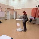 Стали известны итоги дополнительных выборов в самарском регионе