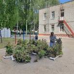 В Ижевске продолжается работа по озеленению придомовых территорий