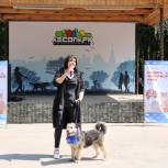 В Рязани прошла первая в этом году выставка-поиск дома для собак и кошек «Пойдем домой»
