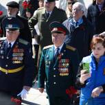 Петербургские единороссы поздравили с Днём Победы более двух тысяч участников и инвалидов Великой Отечественной войны