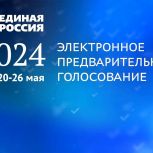 Салехард в тройке лидеров по явке на участие в предварительном голосовании по уровню выборов в гордумы административных центров