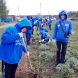 В Бугульме стало на 150 деревьев больше