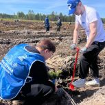 Активисты  «Единой России» приняли участие в экологической акции «Сад памяти», приуроченной к 10-летию образования ДНР