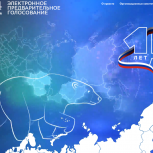 «Единая Россия» в Пермском крае подвела итоги внутрипартийного электронного предварительного голосования