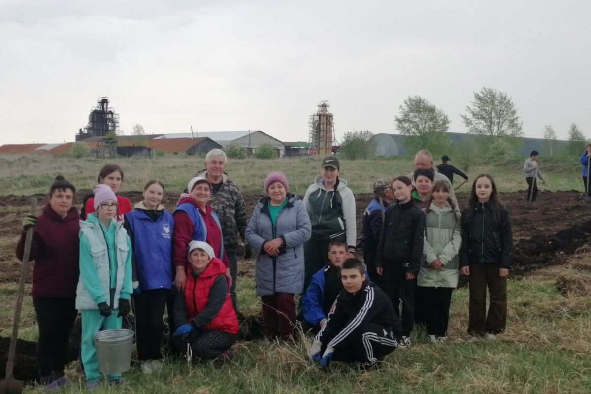 В Назаровском районе партийцы  в селе Павловка высадили кедры и липы