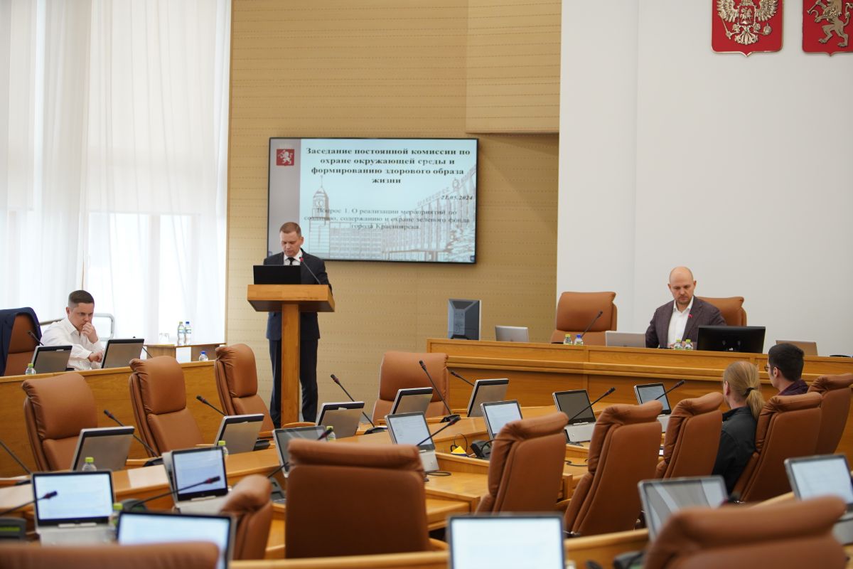 В горсовете Красноярска обсудили меры по сохранению зеленого фонда города