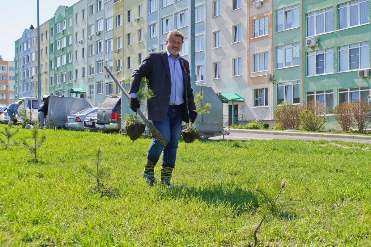 В Кемерове депутаты от «Единой России» высадили деревья