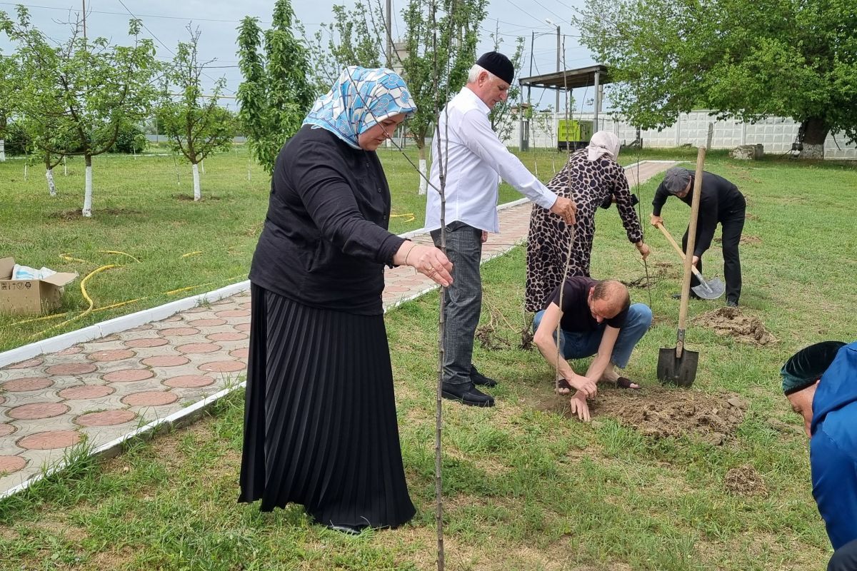 В Алпатовском социально-оздоровительном центре прошла акция «Уютный дом»