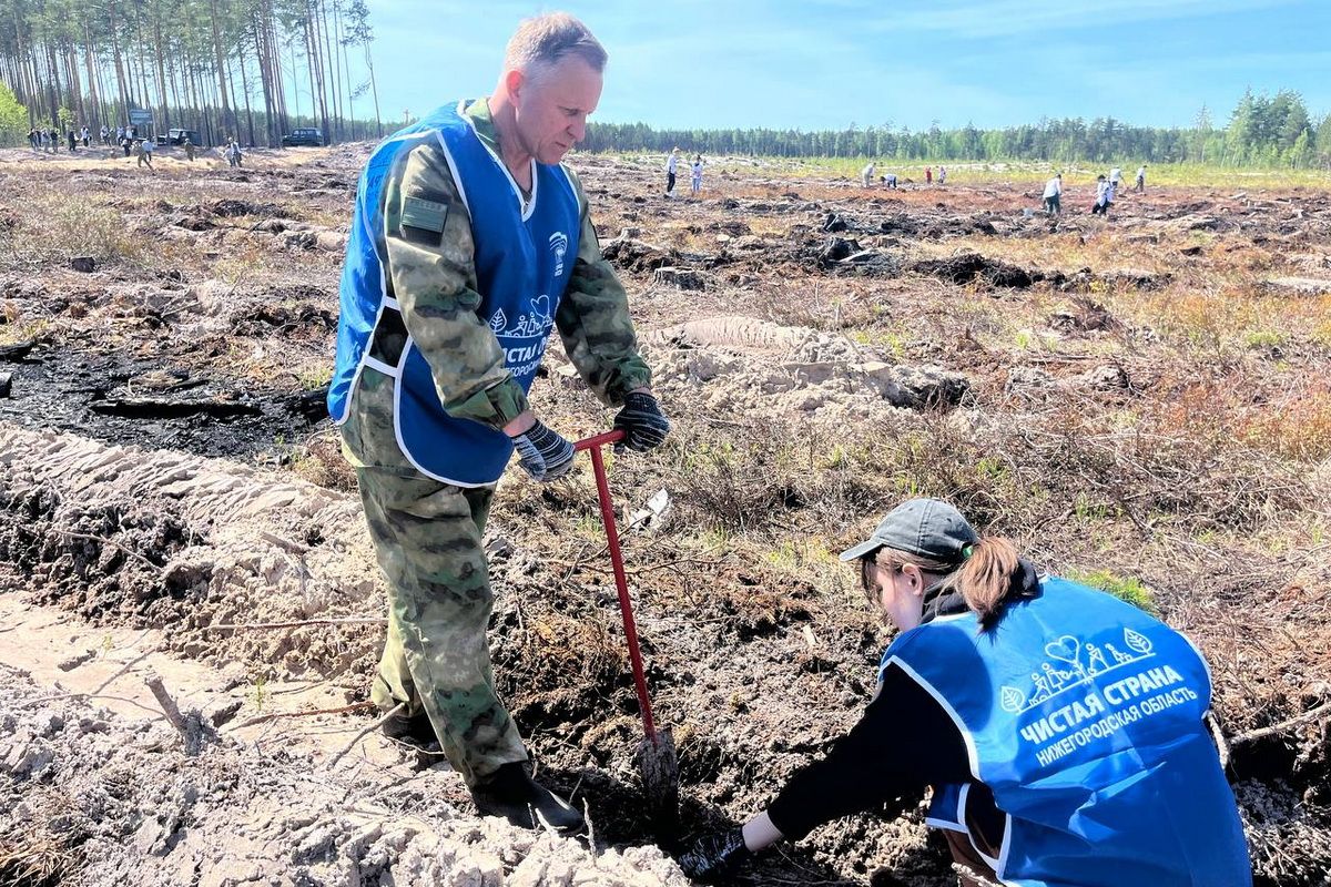 В Нижегородской области активисты «Единой России» приняли участие в экологической акции «Сад памяти»