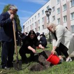 Аллея яблонь появилась в Самарском кадетском корпусе