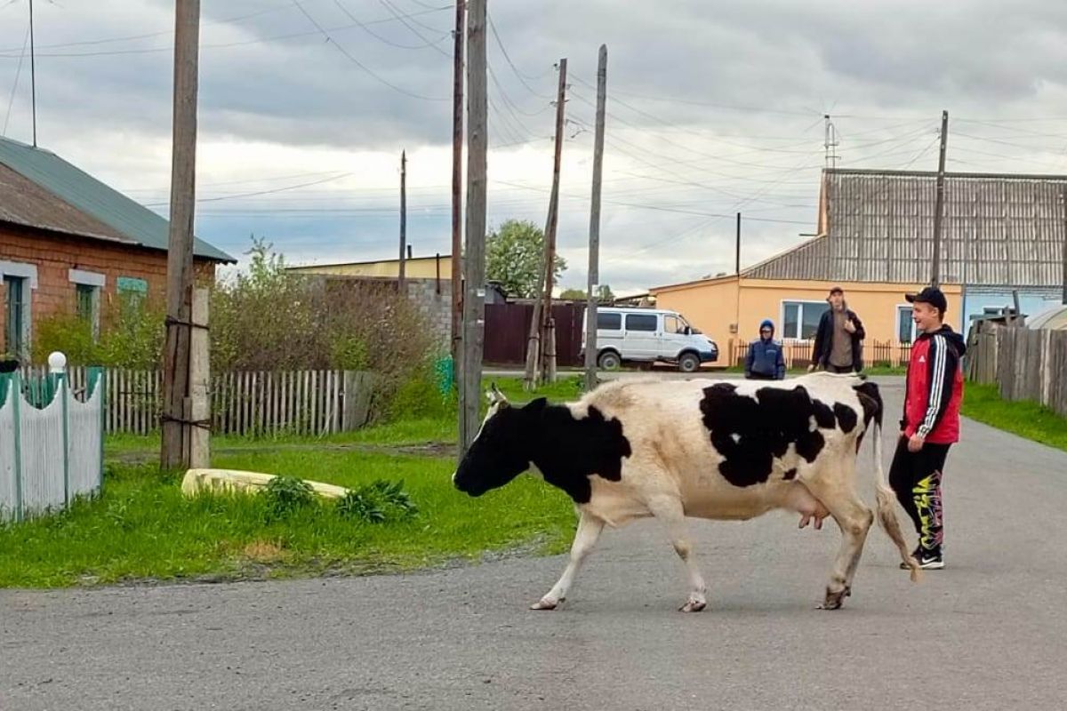 Партийцы Назаровского района приняли участие в акции «Международный день  соседей»