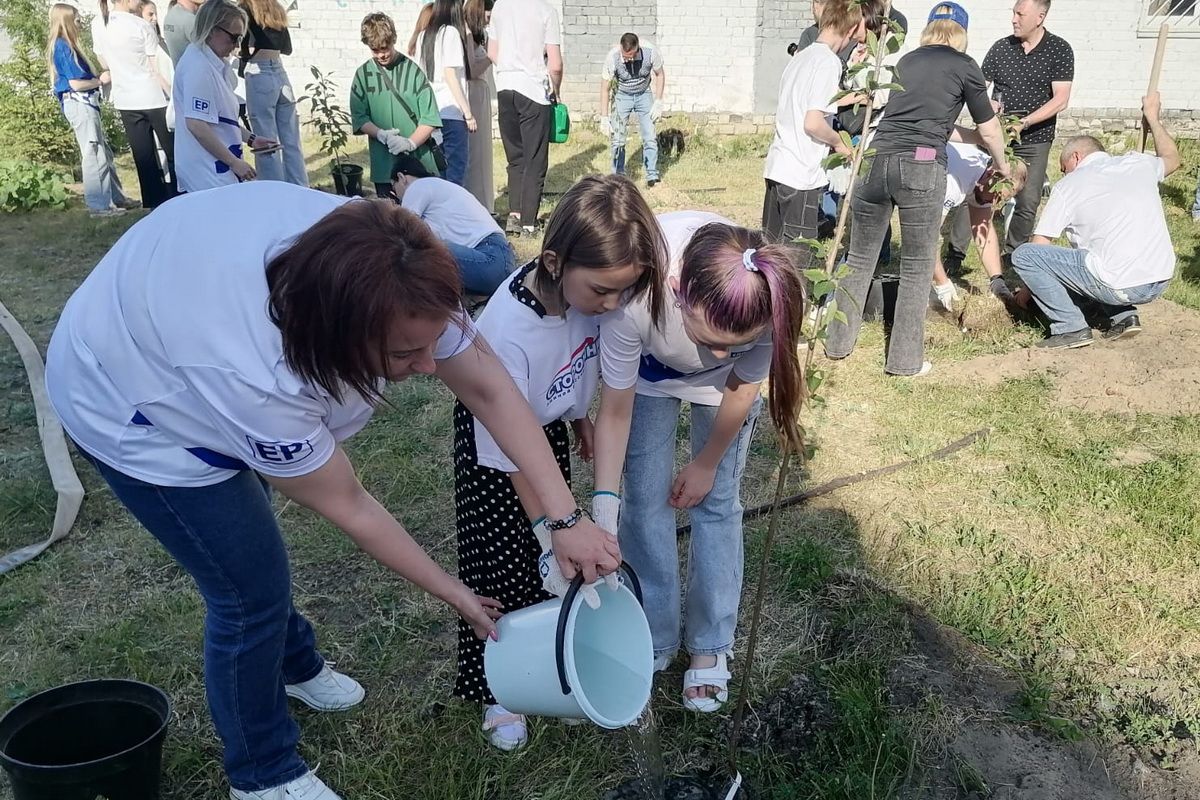 Фруктовый сад скоро зацветет на стадионе «Пионер» в Дзержинске по  инициативе активистов партии