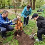 В Люберцах единороссы приняли участие в уборке придомовых территорий